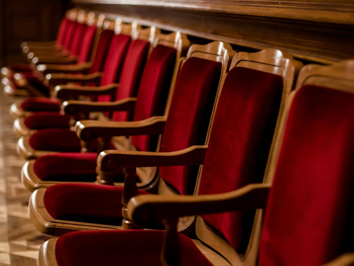 Trial Lawyer Trial Attorney